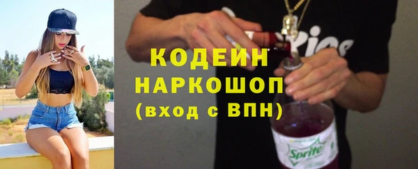 индика Осинники