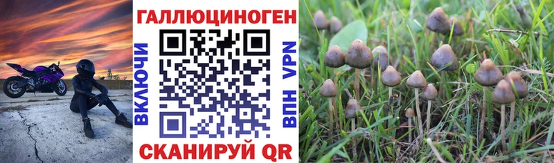 Псилоцибиновые грибы мицелий  Курск 