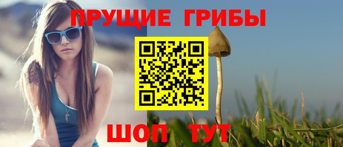 Псилоцибиновые грибы Magic Shrooms  Вход с VPN  Курск 